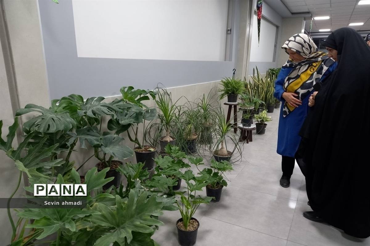 برپایی نمایشگاه گل و گیاه در فرهنگسرای بعثت صفادشت