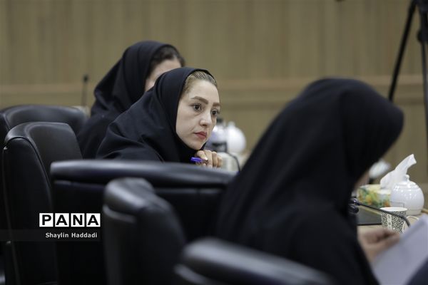 نشست خبری سرزمین هنری رسانه‌ای سورنا