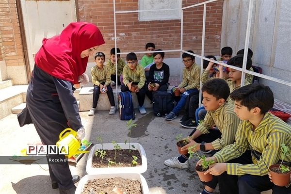 فعالیت دانش‌آموزان در پایگاه‌های تابستانه سازمان دانش‌آموزی فارس