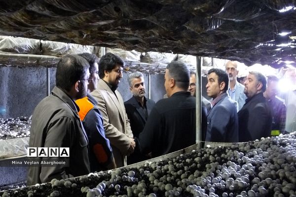 افتتاح و بهره‌برداری از طرح‌ها و پروژه‌ها در شهرستان پیشوا به‌مناسبت هفته دولت