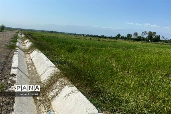 افتتاح پروژه احداث و بهسازی کانال آبیاری در روستای برنج‌ده