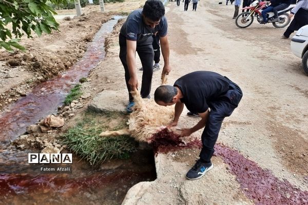 پیاده‌روی دلدادگان حسینی شهرستان اقلید