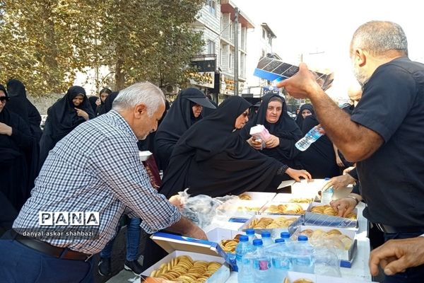 راهپیمایی اربعین در شهرستان  نور