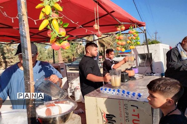پیاده‌روی از مسیر العلما تا کربلای معلی