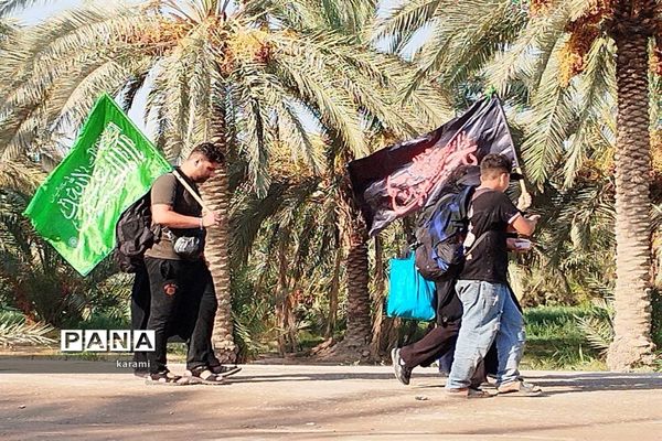 پیاده‌روی از مسیر العلما تا کربلای معلی