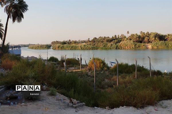 پیاده‌روی از مسیر العلما تا کربلای معلی