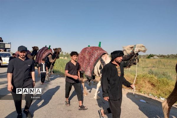 پیاده‌روی از مسیر العلما تا کربلای معلی