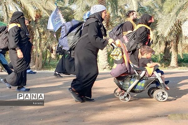 پیاده‌روی از مسیر العلما تا کربلای معلی