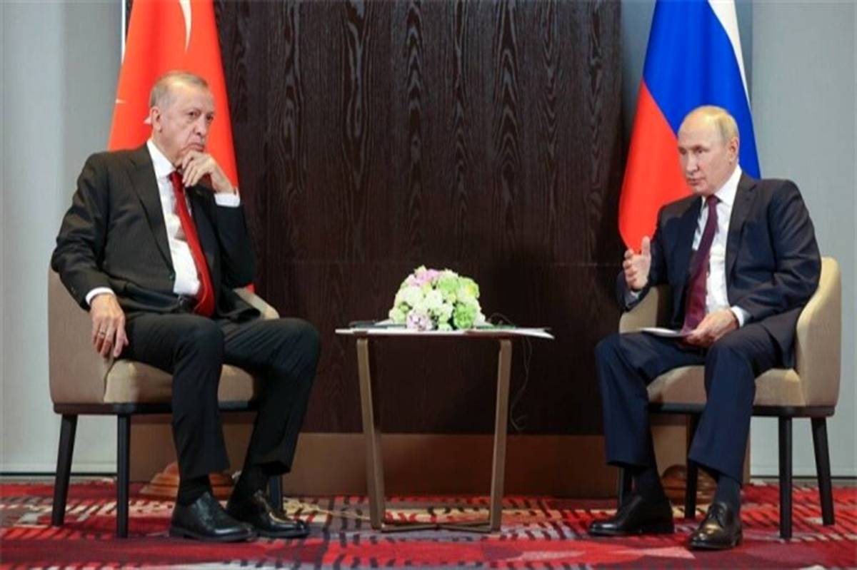 پوتین با اردوغان دیدار کرد