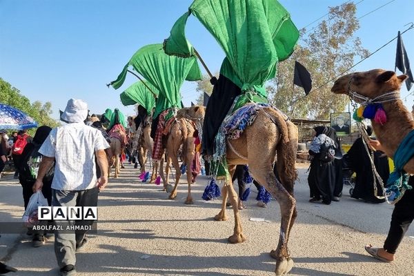 حال و هوای حرم ائمه معصومین در راهپیمایی اربعین