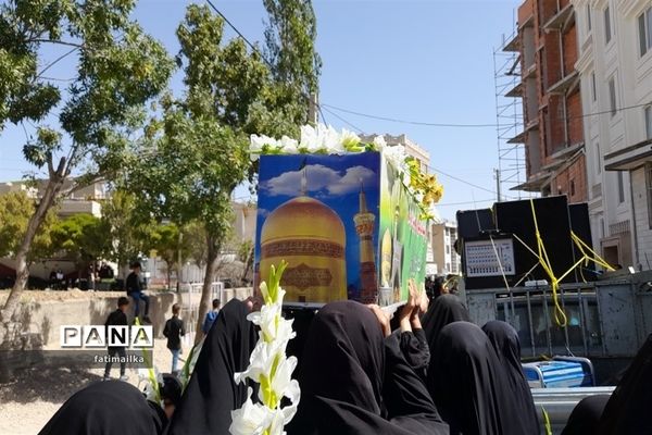 برگزاری عزاداری شهادت امام رضا ( ع) در شهرستان فیروزکوه
