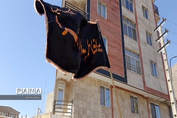 برگزاری عزاداری شهادت امام رضا ( ع) در شهرستان فیروزکوه