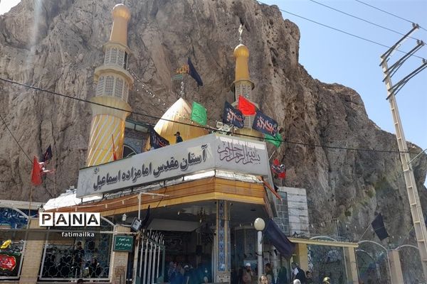 برگزاری عزاداری شهادت امام رضا ( ع) در شهرستان فیروزکوه