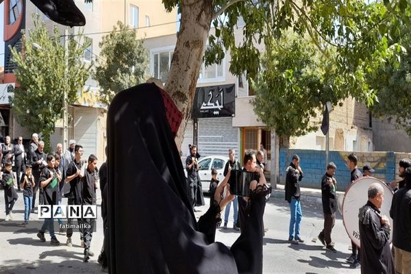 برگزاری عزاداری شهادت امام رضا ( ع) در شهرستان فیروزکوه
