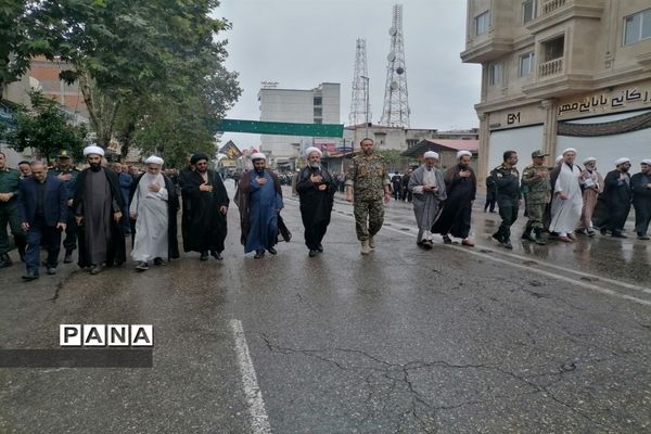 مراسم دسته‌روی به مناسبت سالروز شهادت امام رضا(ع) در قائمشهر