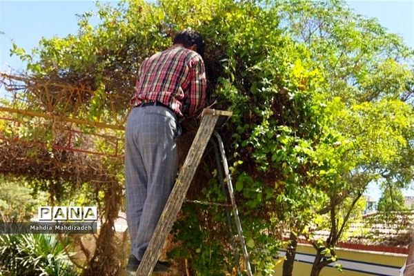 اتمام پروژه مهر در دبیرستان آرمینه مصلی نژاد ناحیه ۶ مشهد