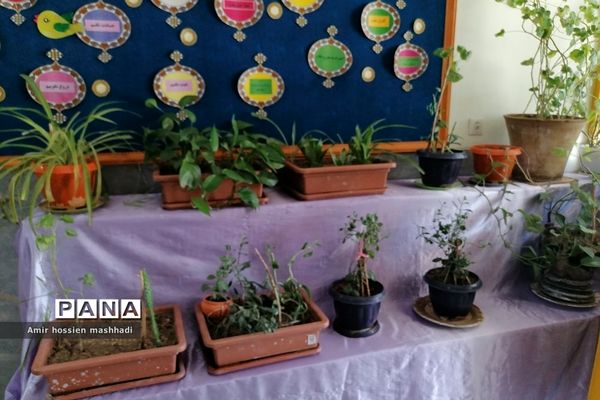 اجرای پروژه مهر۱۴۰۲ در دبستان شهدای کریتون۲_ رودهن