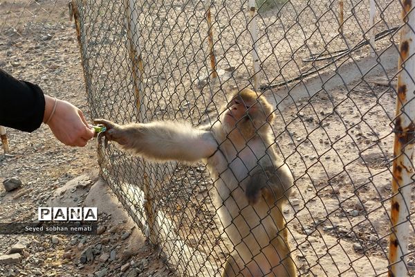 منطقه حفاظت شده چشمه خسرو