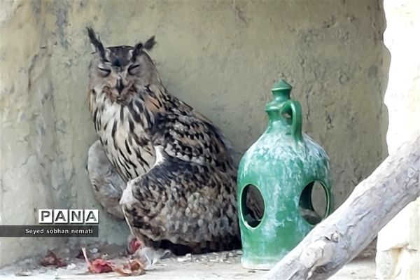 منطقه حفاظت شده چشمه خسرو