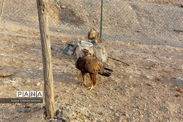 منطقه حفاظت شده چشمه خسرو