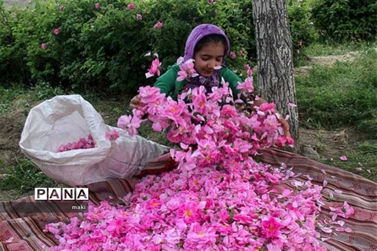 گردشگری راه‌حل بسیاری از مشکلات شهرستان‌های کرمان است