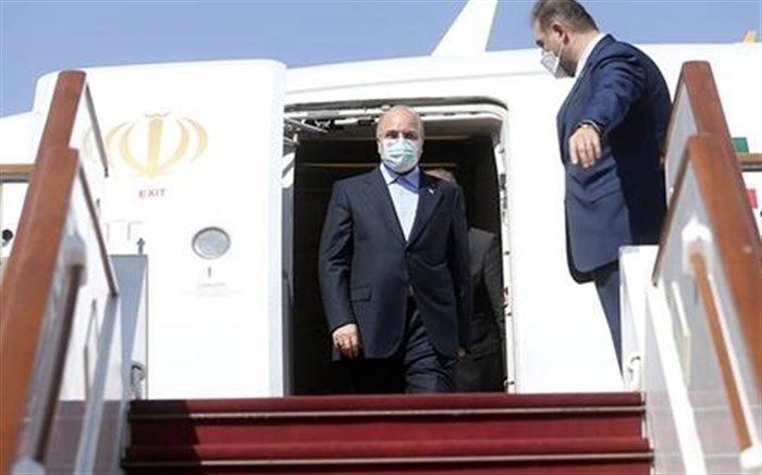 رئیس مجلس وارد تهران شد