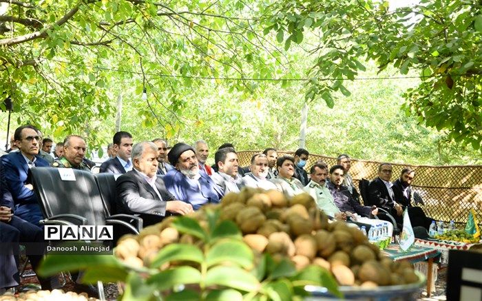 برگزاری نخستین جشنواره ملی گردو در منطقه گردشگری کهمان الشتر/فیلم