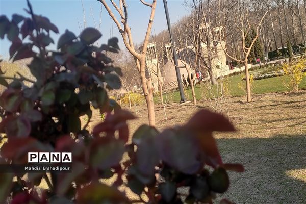 پارک ملی ایران کوچک