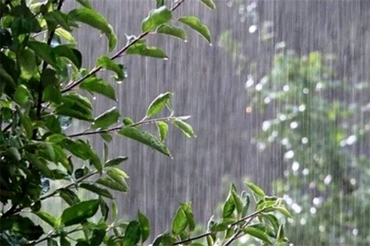 بارندگی و وزش باد شدید در ۱۳ استان