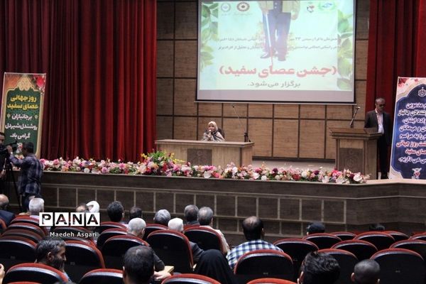 همایش روز جهانی «عصای سفید» در قم