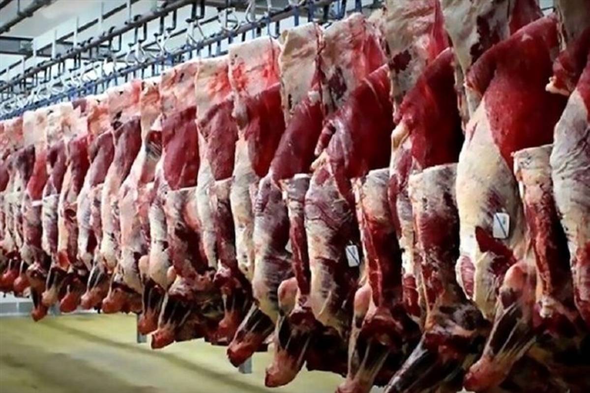 عرضه گوشت قرمز در کشتارگاه‌های رسمی کشور در شهریور ۱۴۰۲ به ۴۰ هزار تن رسید