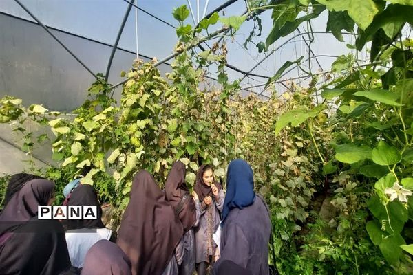 بازدید  از مزرعه للوک در بلده