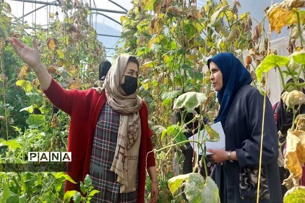 بازدید  از مزرعه للوک در بلده