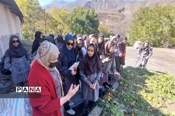 بازدید  از مزرعه للوک در بلده