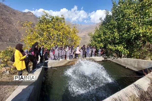 بازدید  از مزرعه للوک در بلده