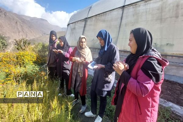 بازدید  از مزرعه للوک در بلده