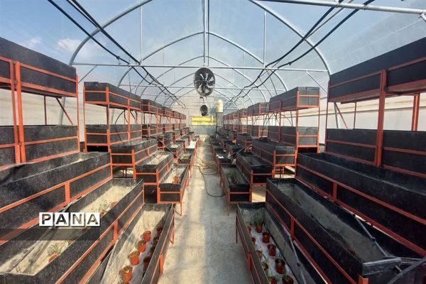 بازدید  از مزرعه للوک در بلده