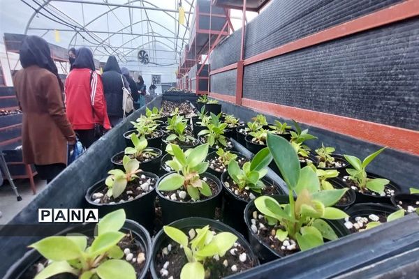 بازدید  از مزرعه للوک در بلده