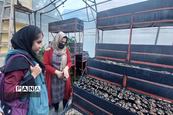 بازدید  از مزرعه للوک در بلده