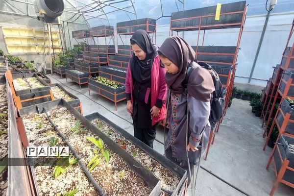 بازدید  از مزرعه للوک در بلده