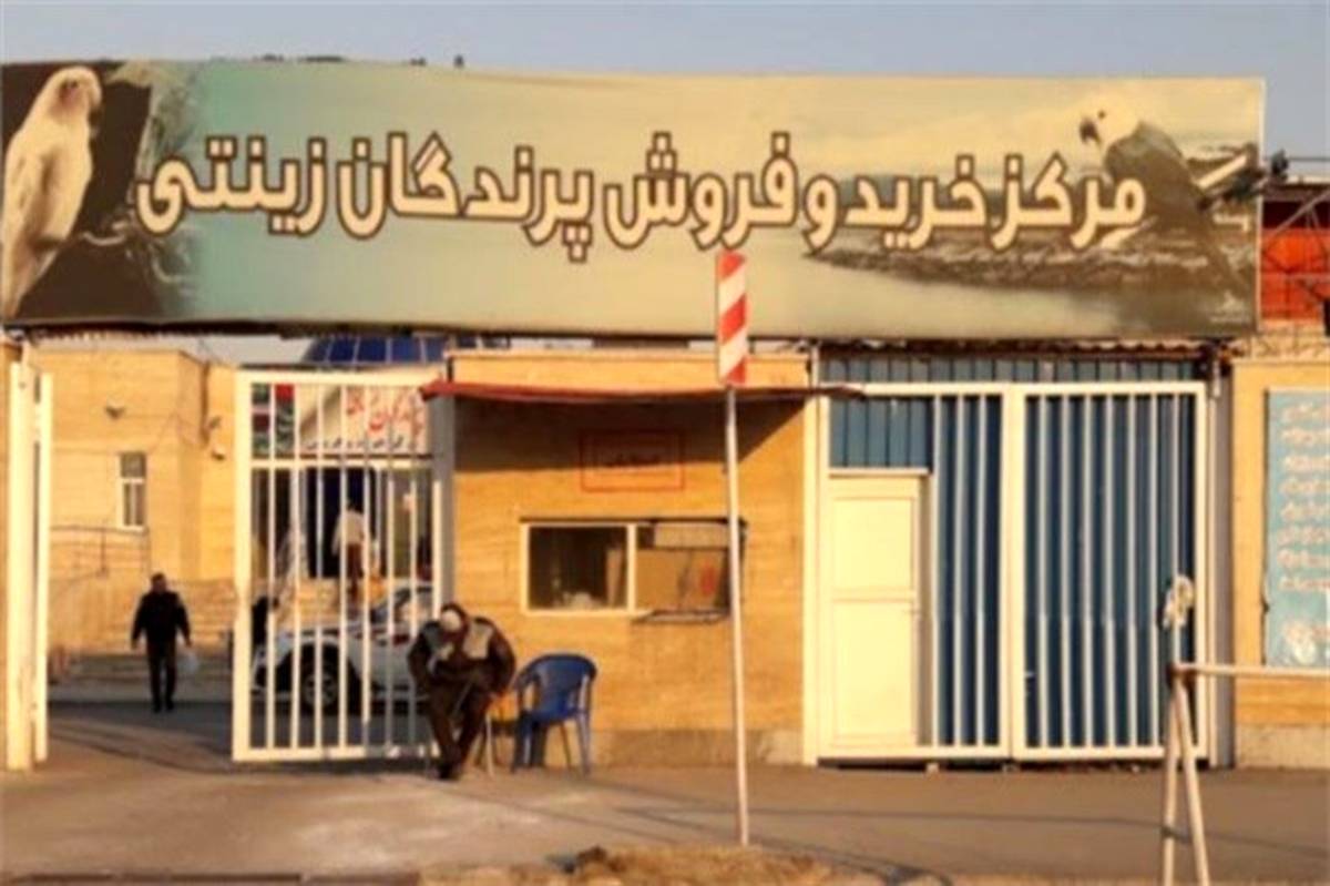 ورود دادستانی تهران به موضوع ساماندهی باغ پرندگان خلیج فارس