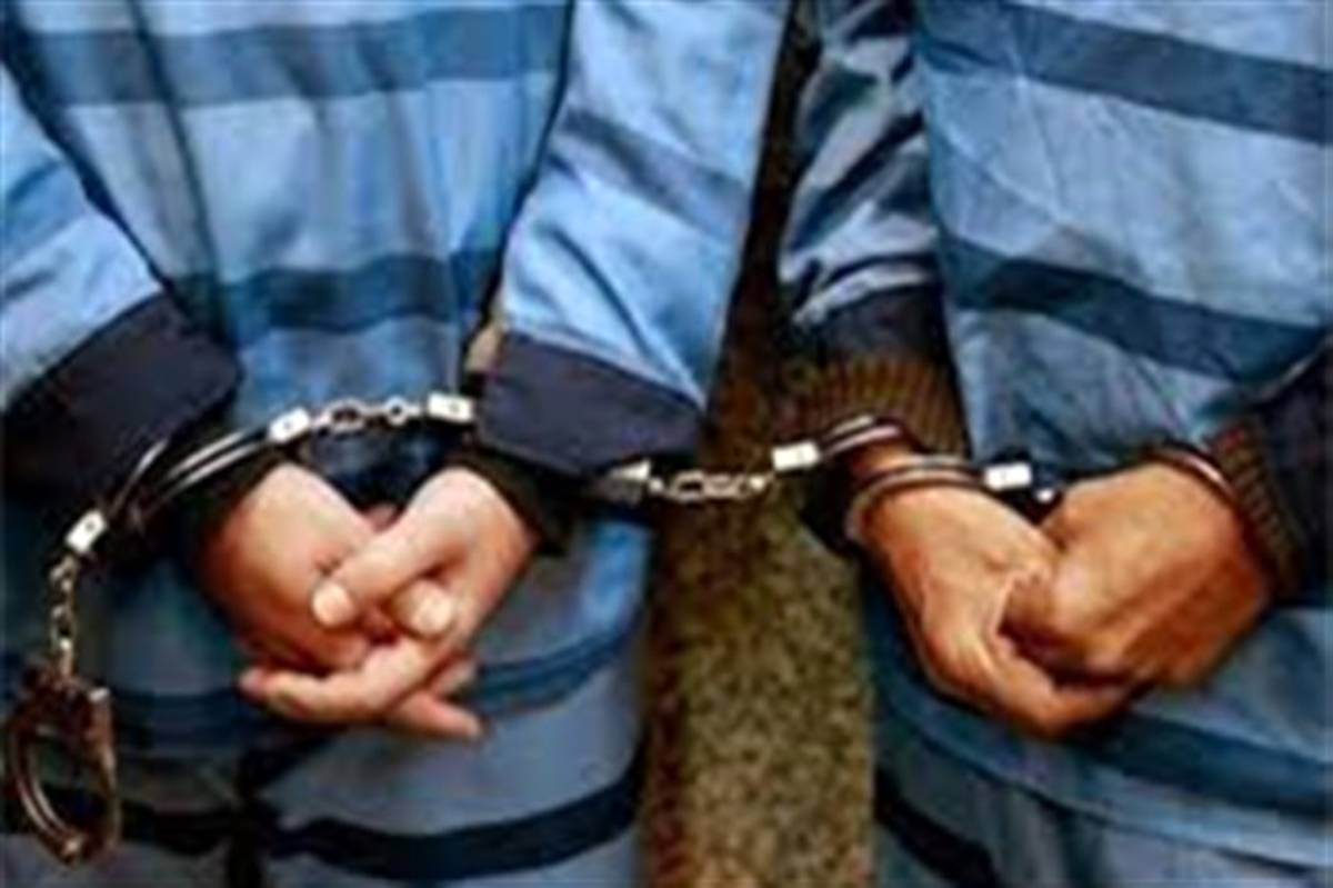 دستگیری 35 سارق در خراسان جنوبی