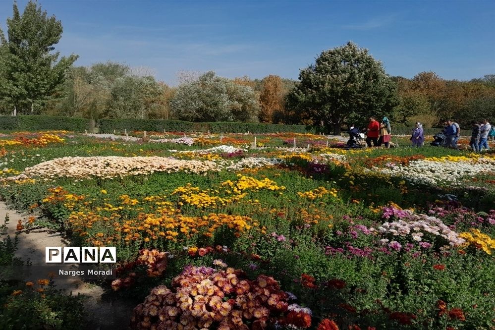 باغ گیاه‌شناسی ملی ایران