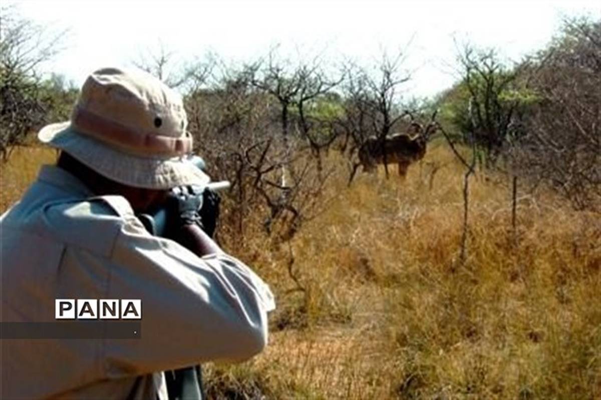 شکارچیان غیرمجاز در شهرستان فراشبند قبل از اقدام به شکار به دام افتادند