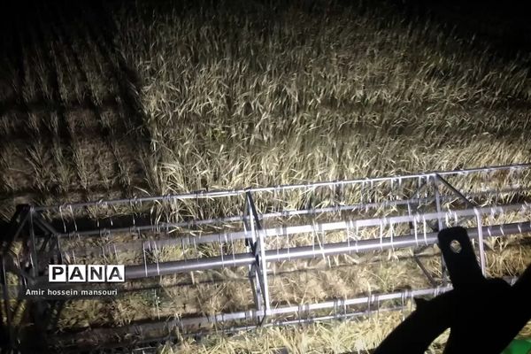 برداشت گندم و جو