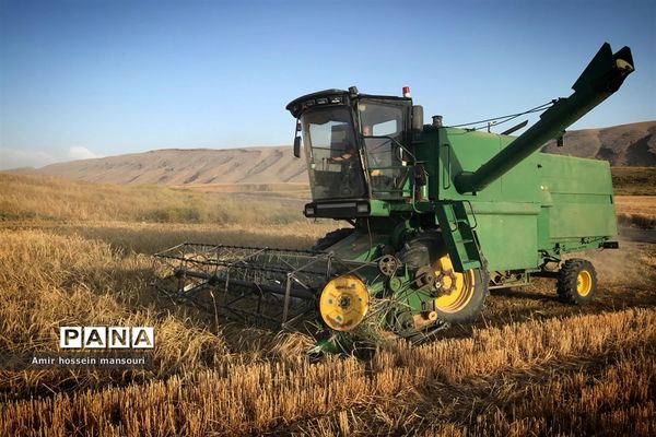 برداشت گندم و جو