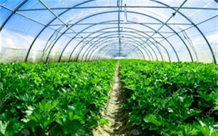 افزایش ۲ برابری تسهیلات تجهیز مکانیزاسیون کشاورزی
