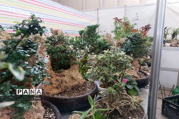 نمایشگاه گل و گیاه در تبریز