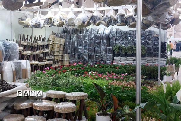 نمایشگاه گل و گیاه در تبریز
