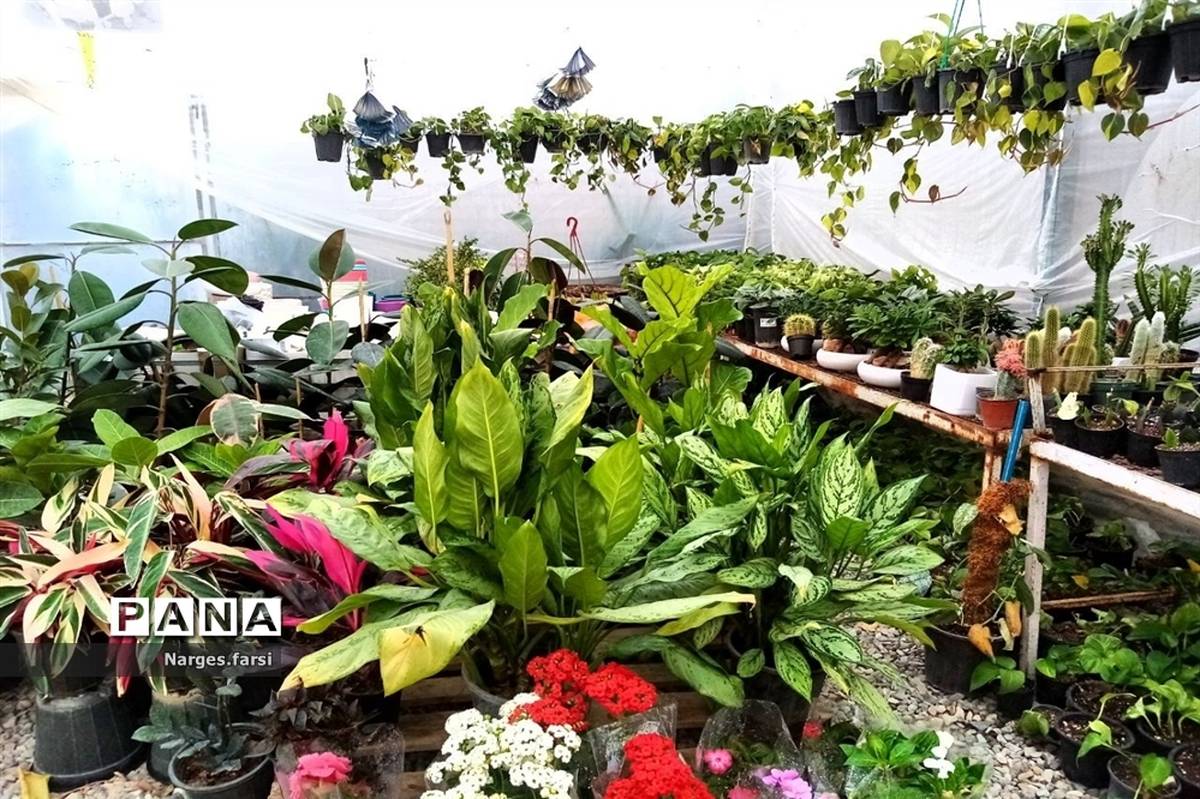 احداث اولین گلخانه روستای باقرآباد قم در روز ملی گل و گیاه